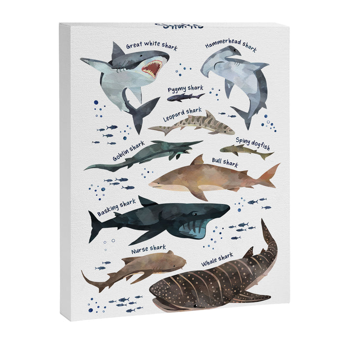 Sharks Canvas Print Gallery Image 1