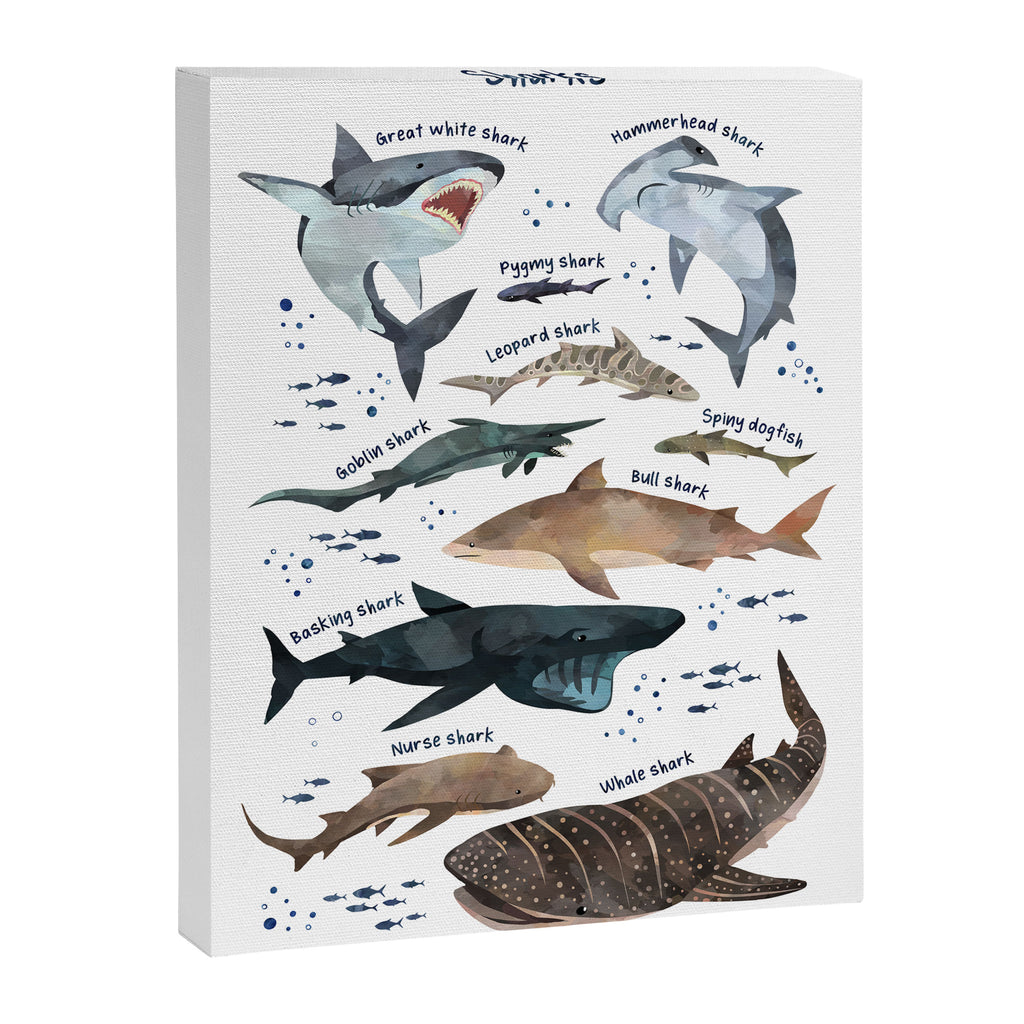 Sharks Canvas Print Gallery Image 6