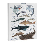 Sharks Canvas Print Gallery Image 6