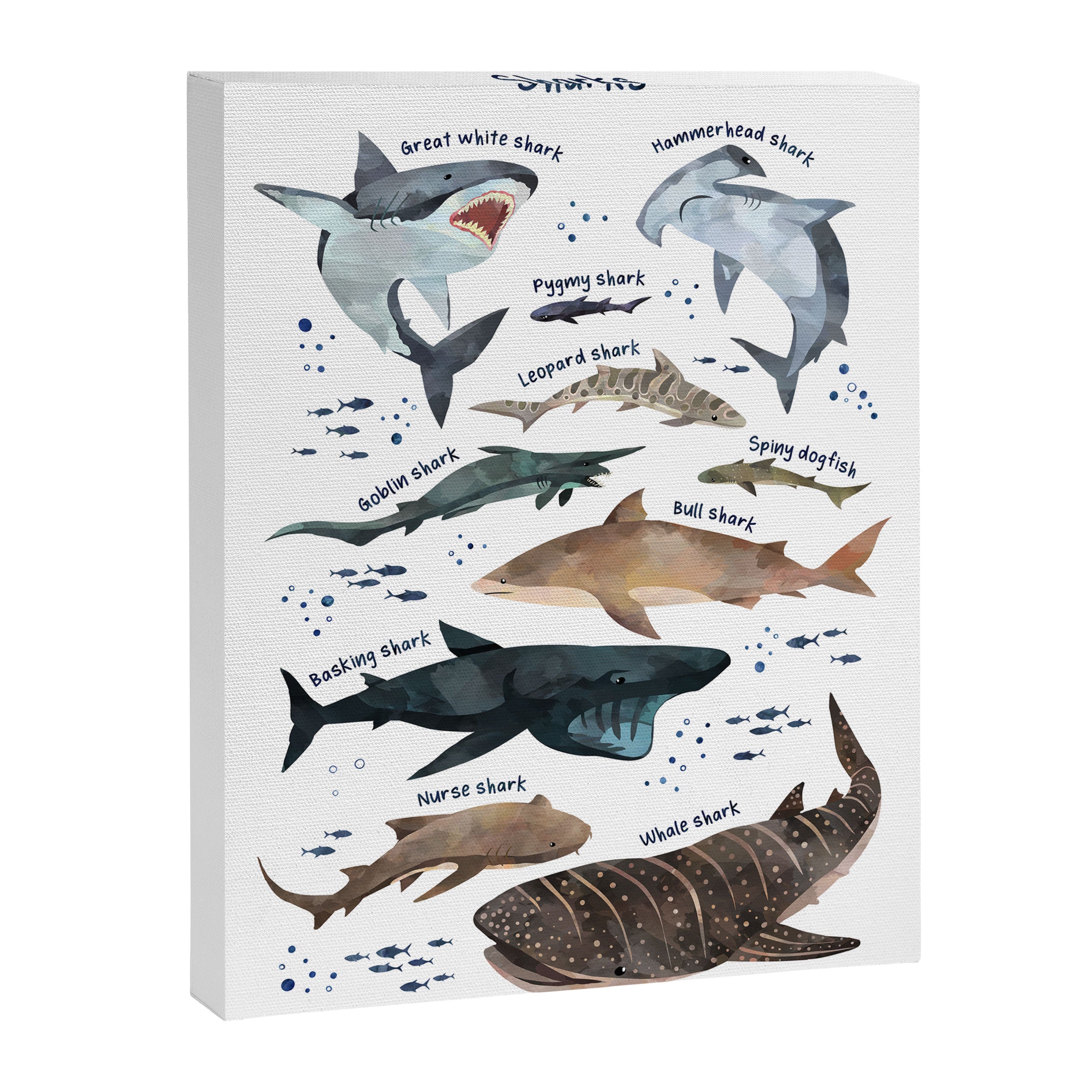 Sharks Canvas Print Gallery Image 6
