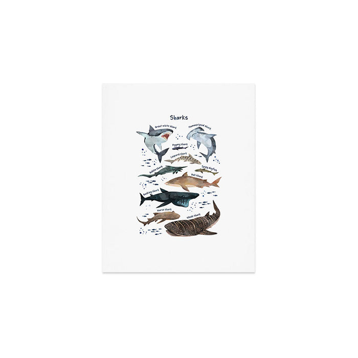 Sharks Art Print Gallery Image 1
