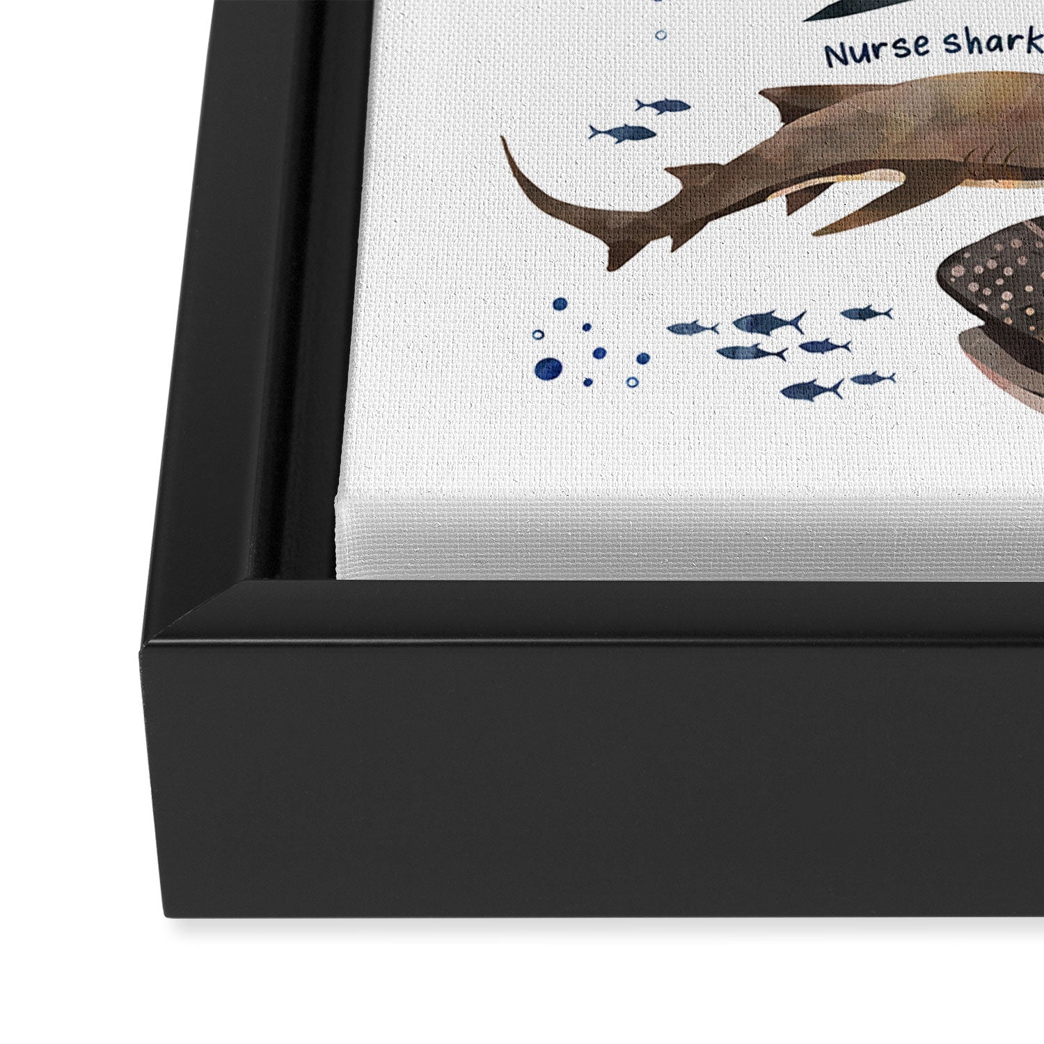 Sharks Framed Canvas Print Gallery Image 3