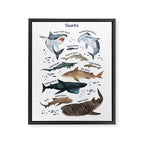 Sharks Framed Canvas Print Gallery Image 6