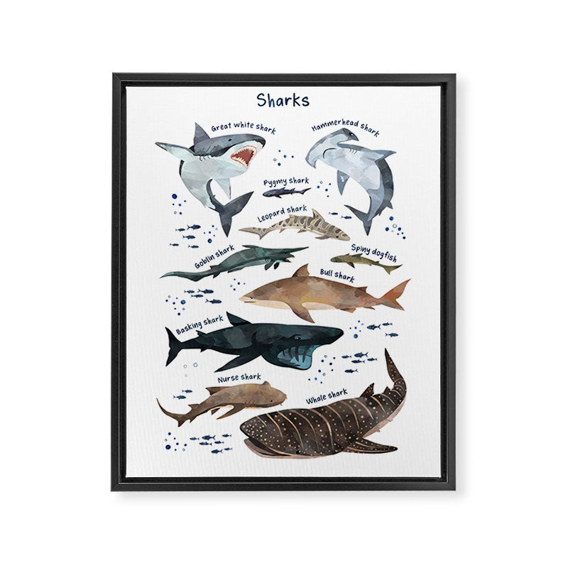 Sharks Framed Canvas Print Gallery Image 6
