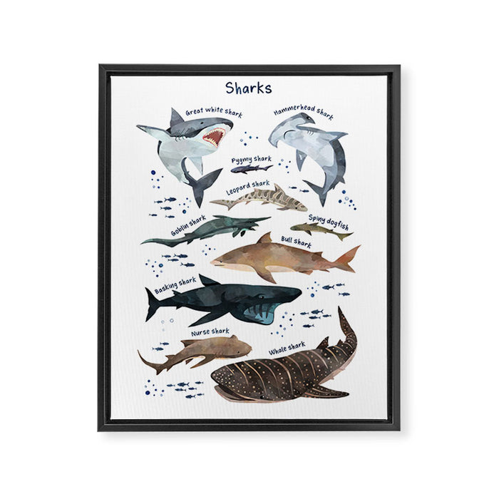Sharks Framed Canvas Print Gallery Image 1