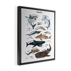 Sharks Framed Canvas Print Gallery Image 2