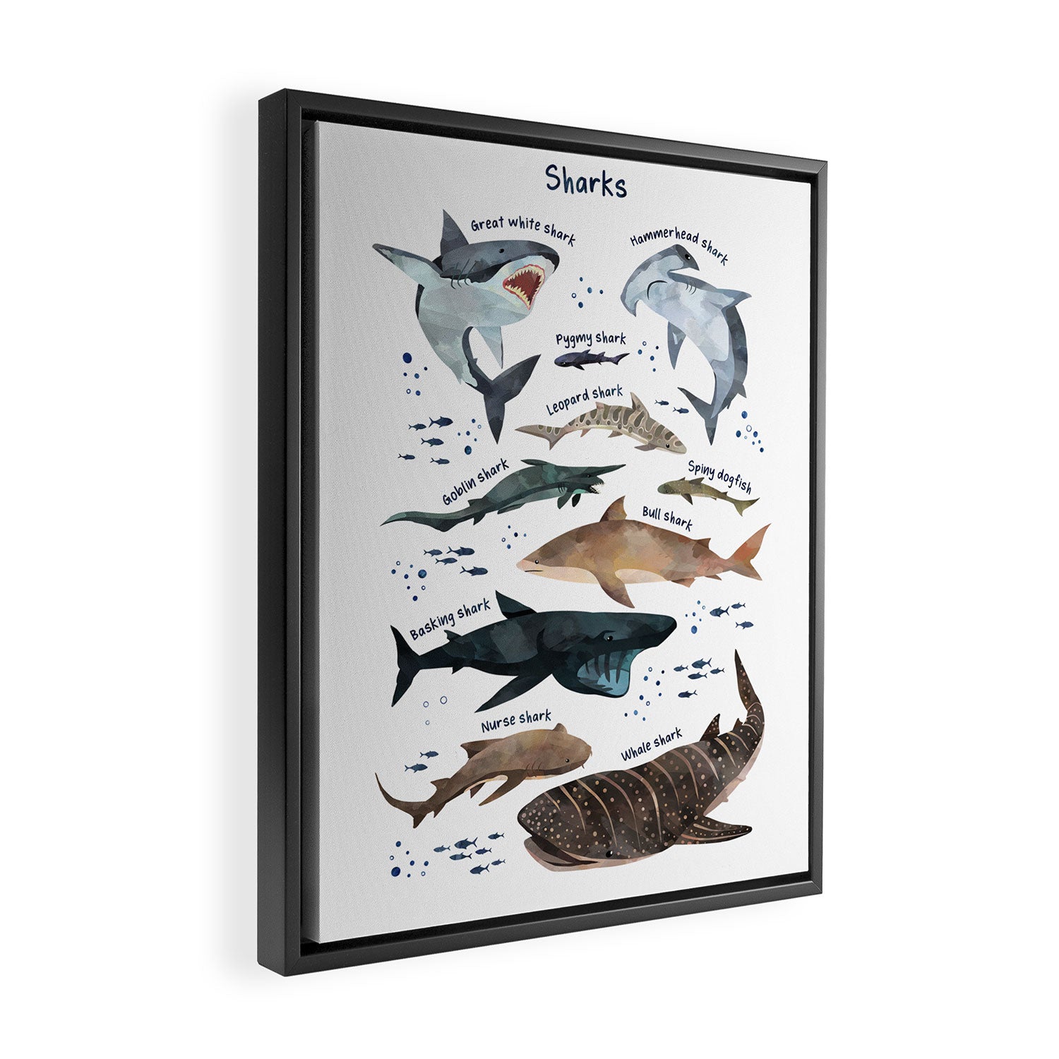 Sharks Framed Canvas Print Gallery Image 2