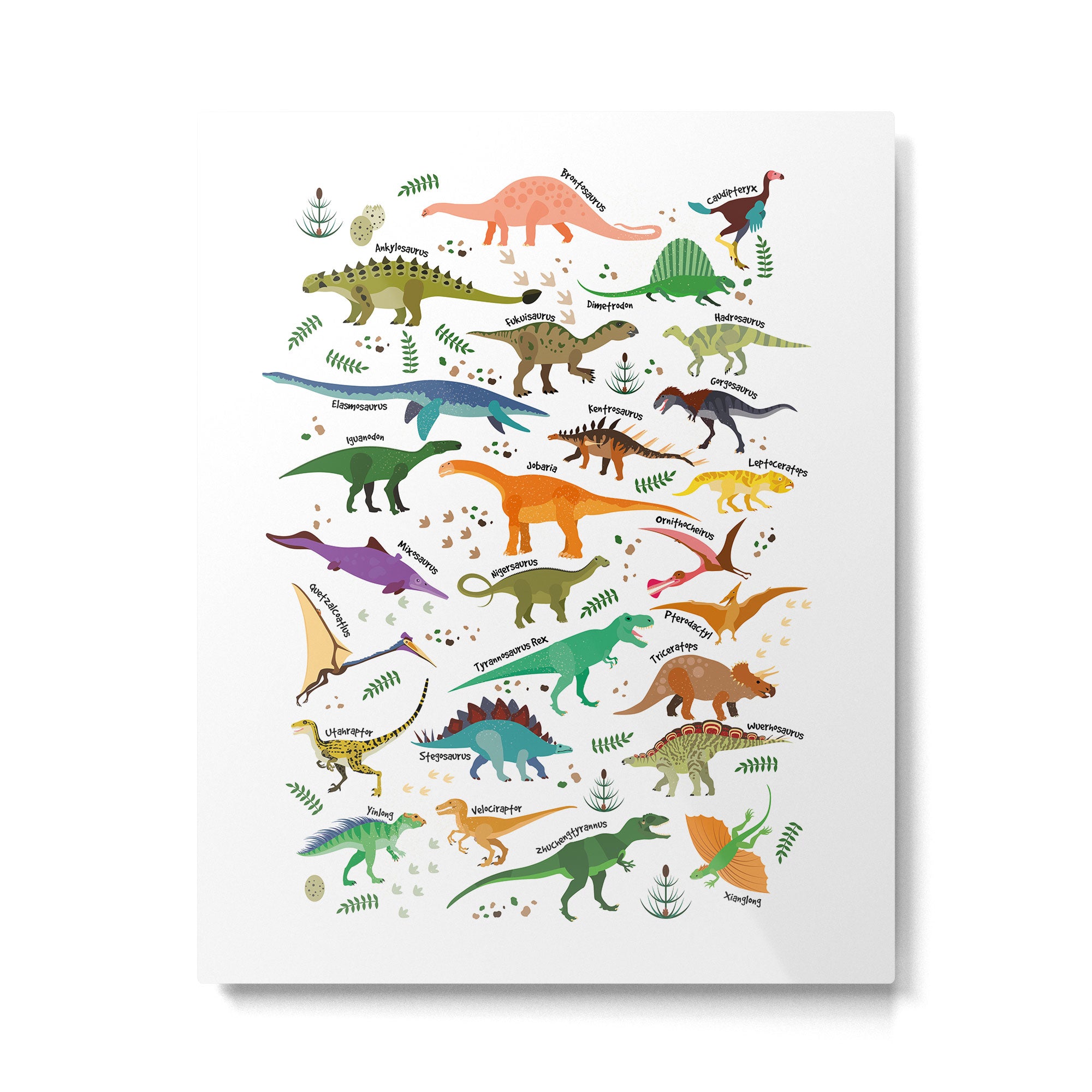 Types of Dinosaurs Alphabet Metal Print Gallery Image 4