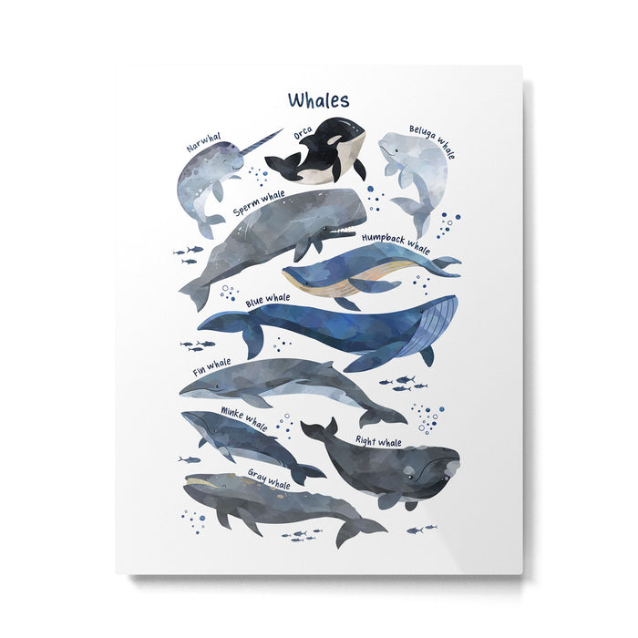 Whales Metal Print Gallery Image 1