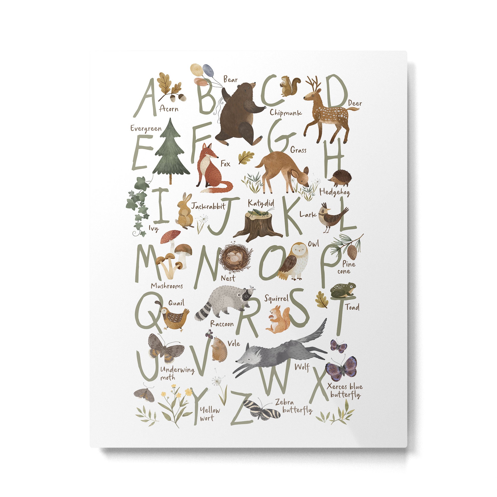 Woodland forest alphabet Metal Print Gallery Image 4