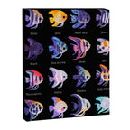 Angelfish! (freshwater) Canvas Print Gallery Image 8
