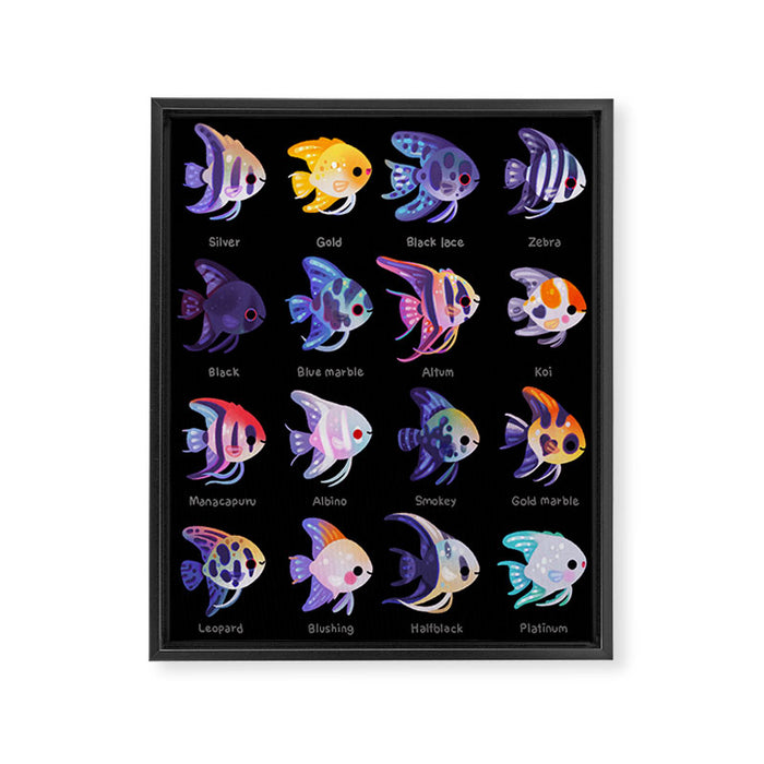 Angelfish! (freshwater) Framed Canvas Print Gallery Image 1