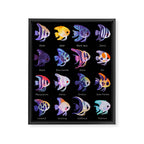 Angelfish! (freshwater) Framed Canvas Print Gallery Image 8
