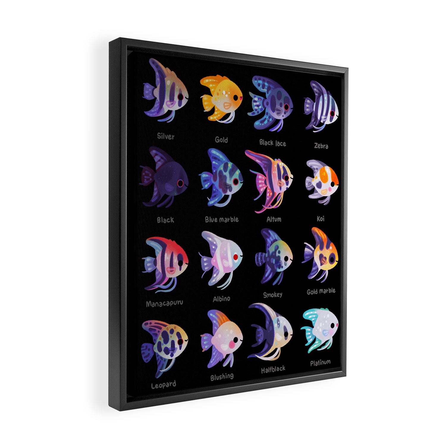 Angelfish! (freshwater) Framed Canvas Print Gallery Image 2