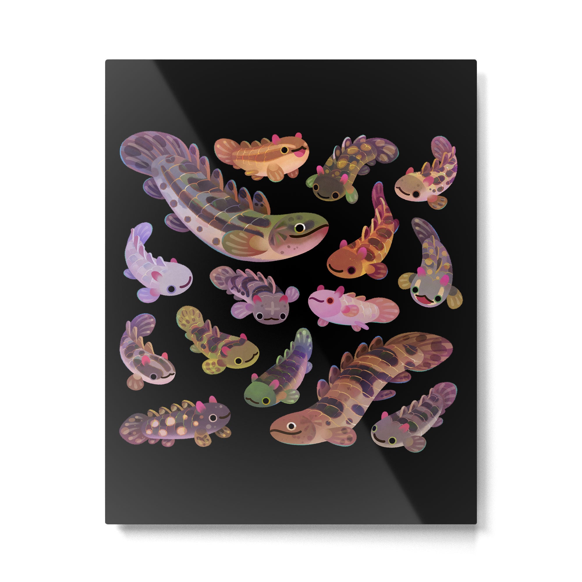 Baby polypterus - dark Metal Print Gallery Image 6
