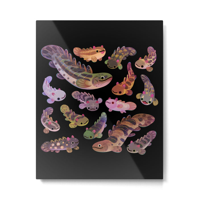 Baby polypterus - dark Metal Print Gallery Image 1