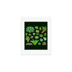 Baby succulent 1 - dark Art Print Gallery Image 1