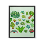 Baby succulent 1 - light Framed Canvas Print Gallery Image 8