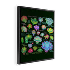 Baby succulent 2 - dark Framed Canvas Print Gallery Image 2