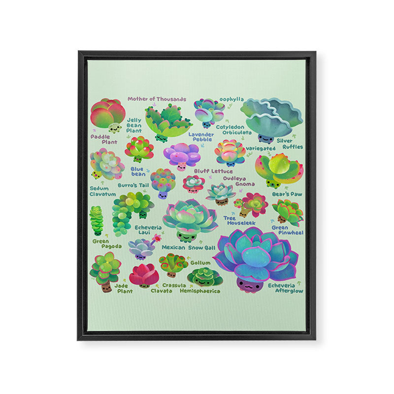 Baby succulent 2 - green Framed Canvas Print Gallery Image 8
