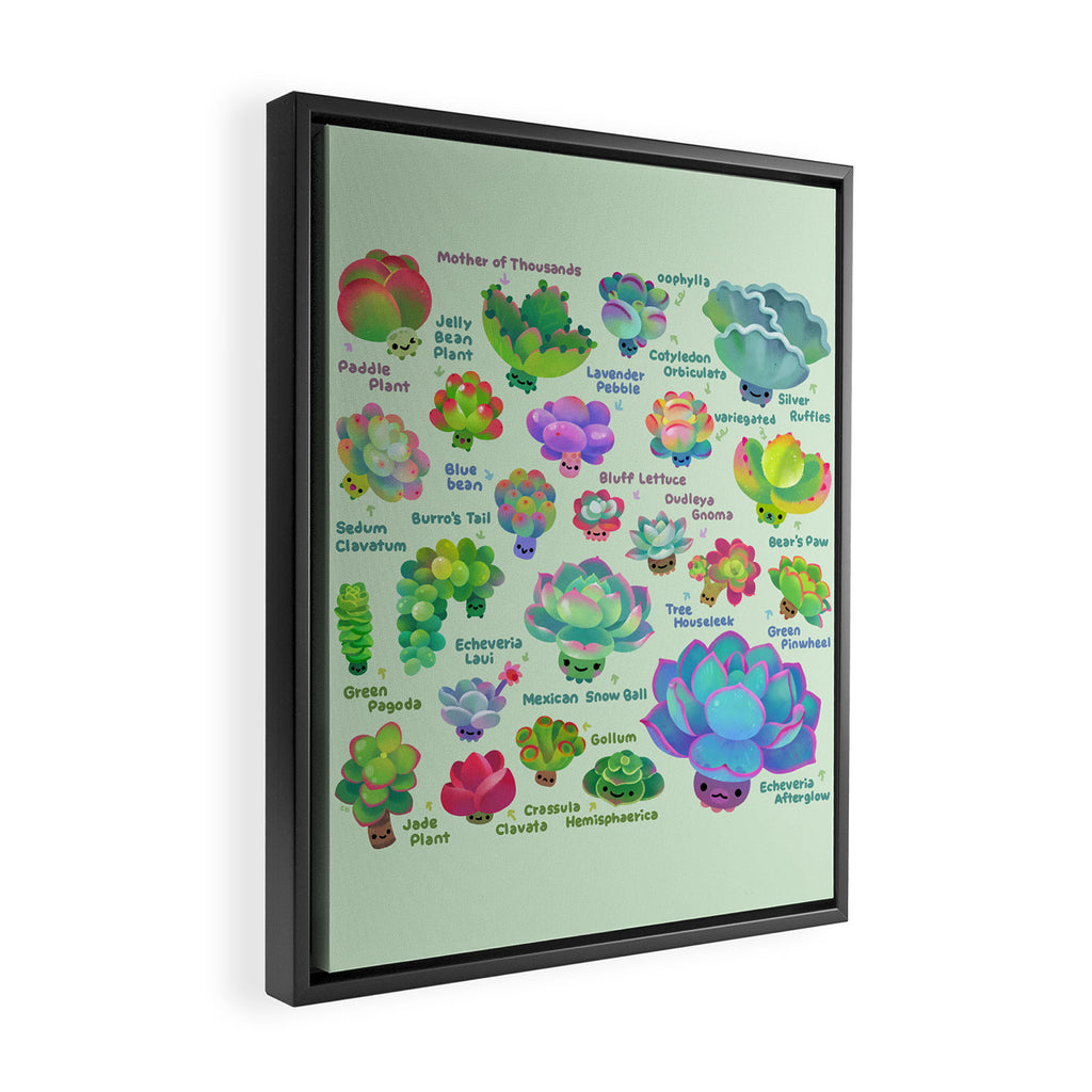 Baby succulent 2 - green Framed Canvas Print Gallery Image 2