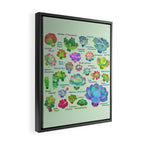 Baby succulent 2 - green Framed Canvas Print Gallery Image 2