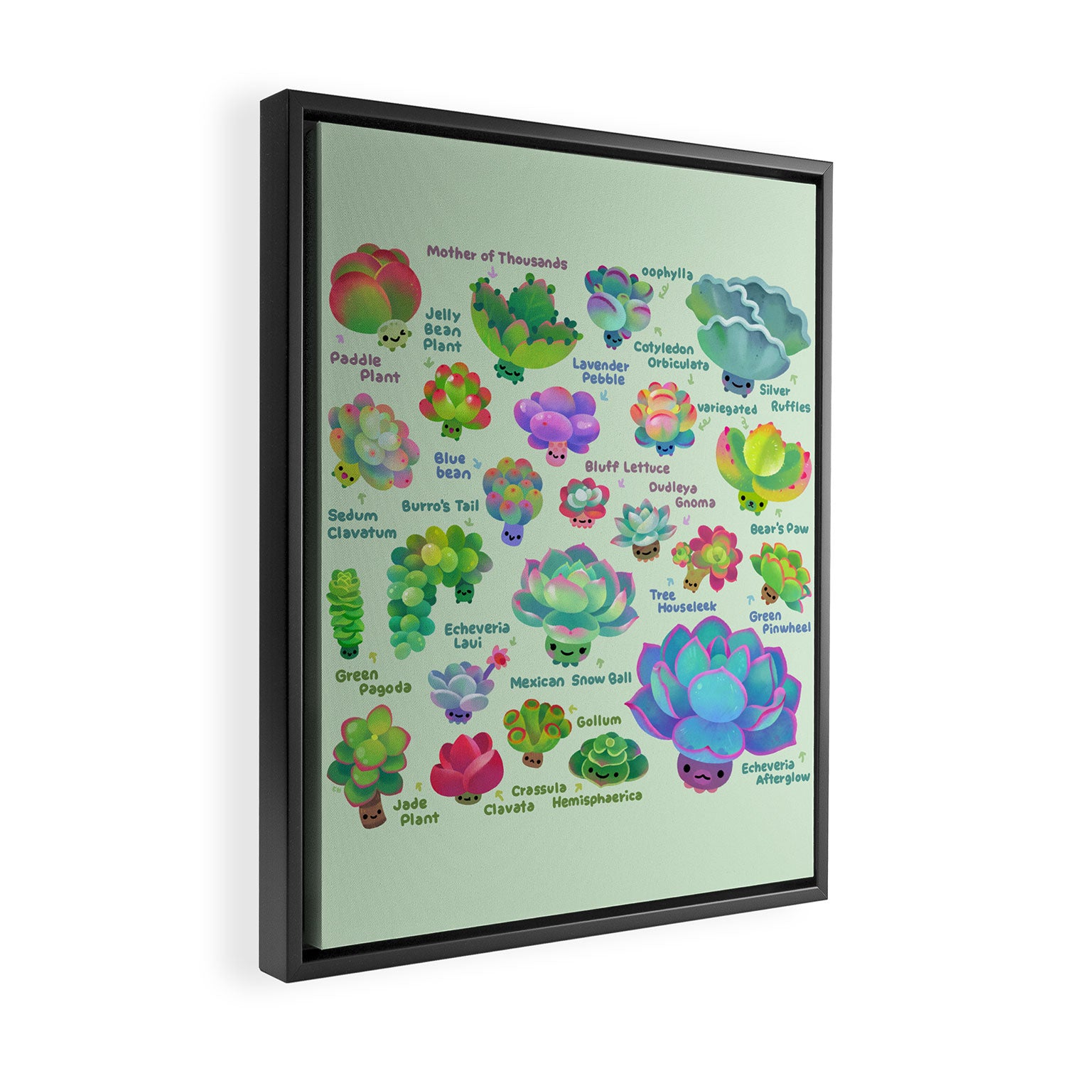 Baby succulent 2 - green Framed Canvas Print Gallery Image 2