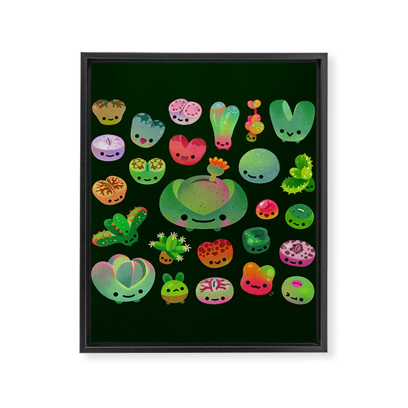 Baby succulent 3 - Mesembs (dark) Framed Canvas Print Gallery Image 8
