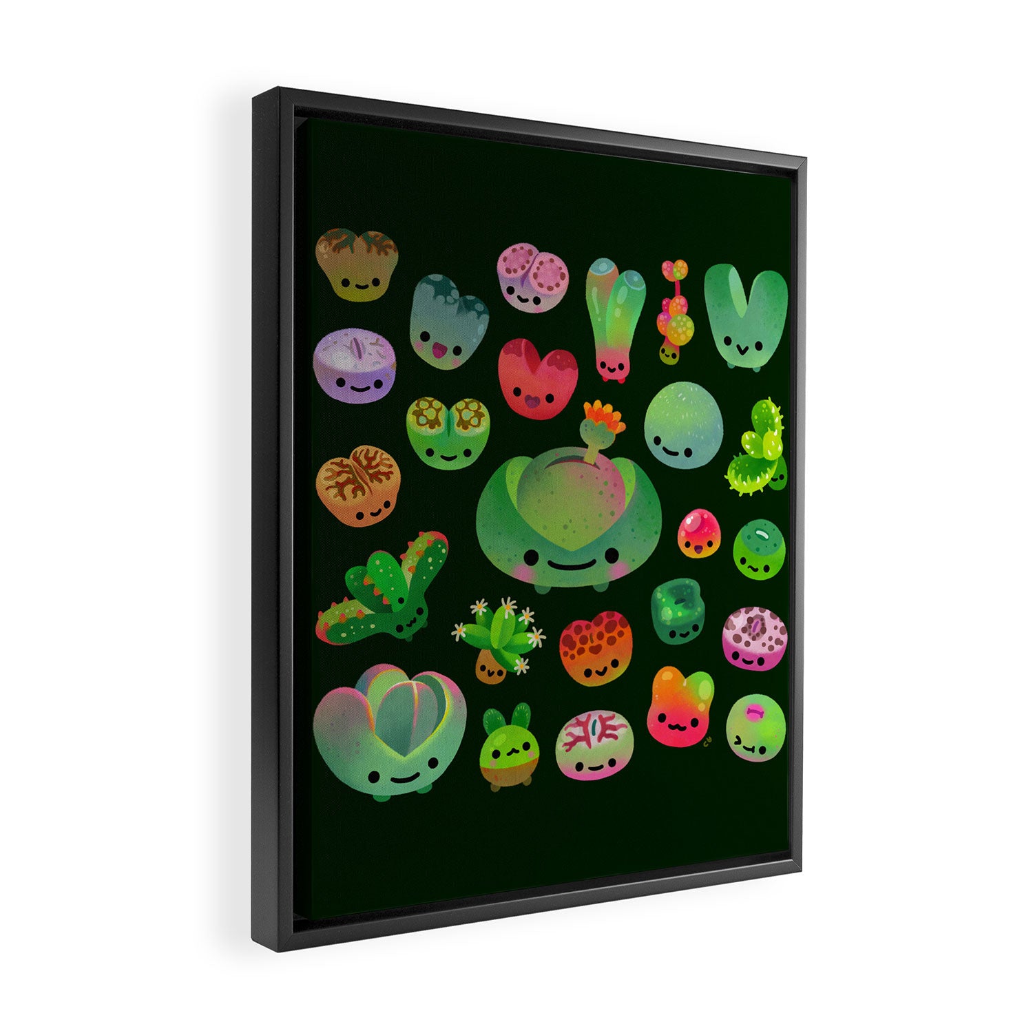 Baby succulent 3 - Mesembs (dark) Framed Canvas Print Gallery Image 2