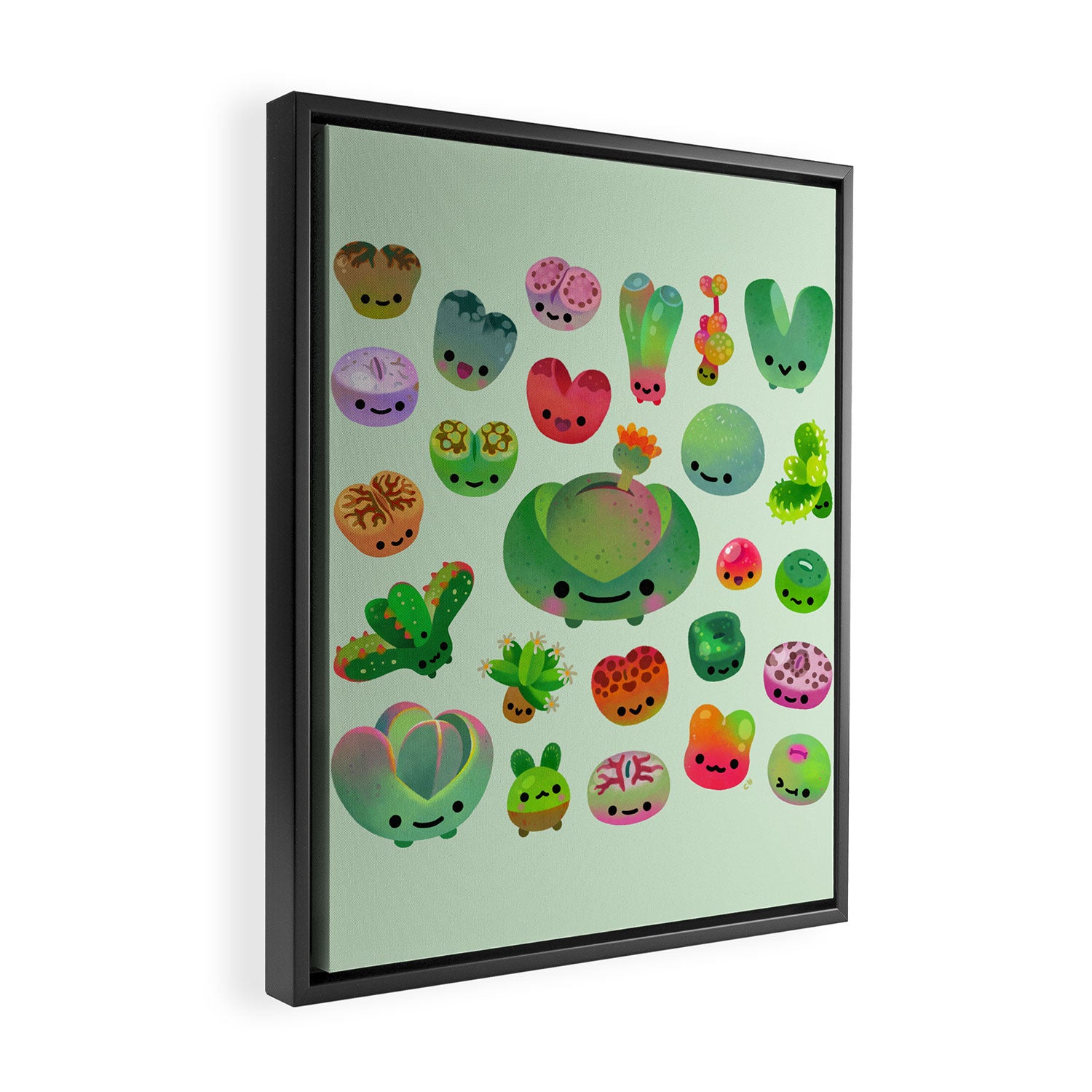 Baby succulent 3 - Mesembs(green) Framed Canvas Print Gallery Image 2