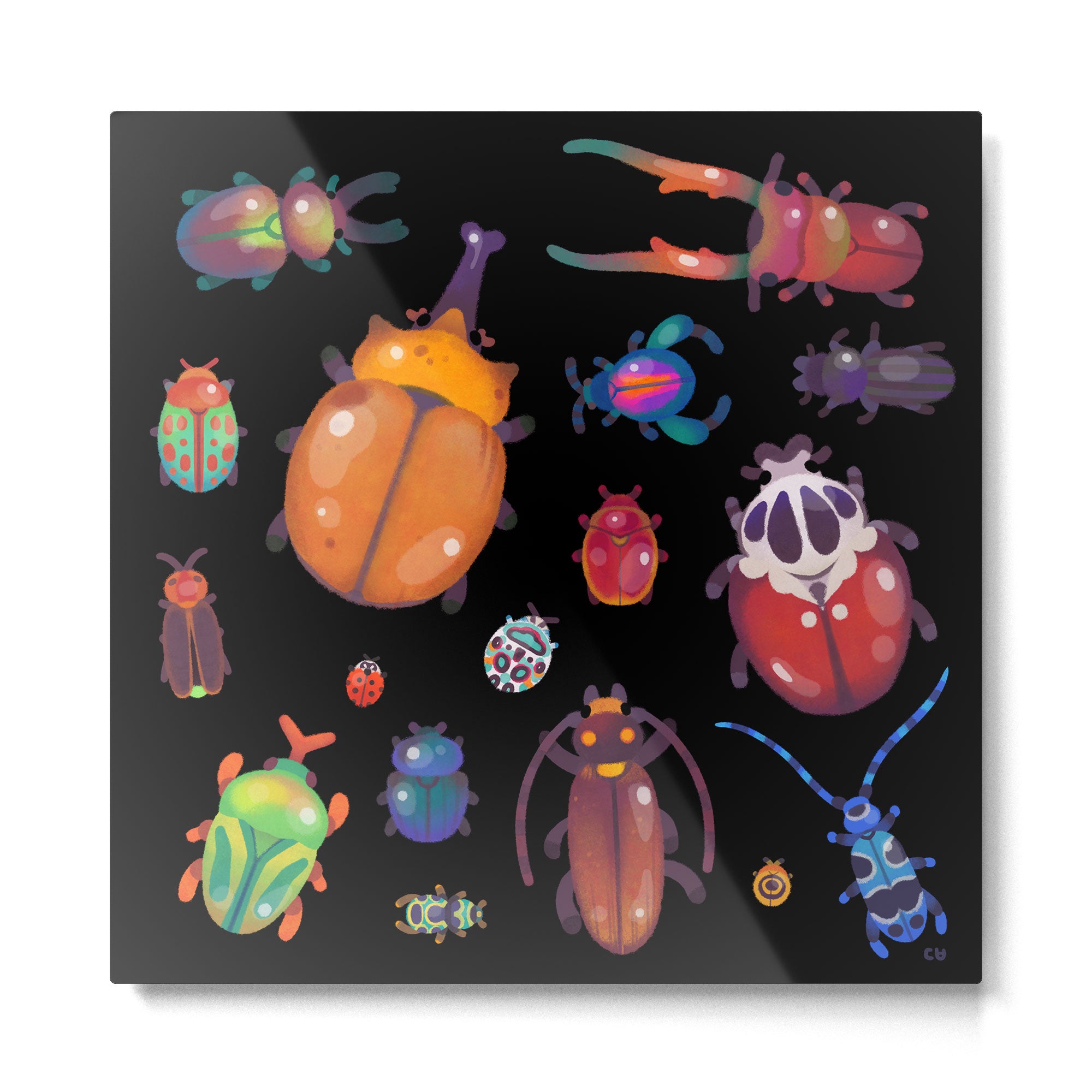 Beetle Metal Print Gallery Image 2