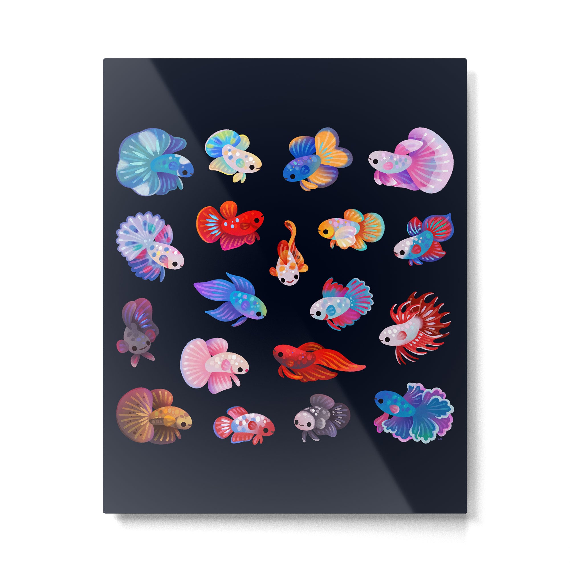 Betta Metal Print Gallery Image 6