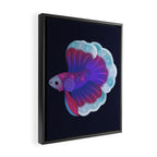 Blue Betta Framed Canvas Print Gallery Image 2
