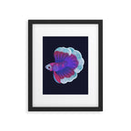 Blue Betta Framed Art Print Gallery Image 5