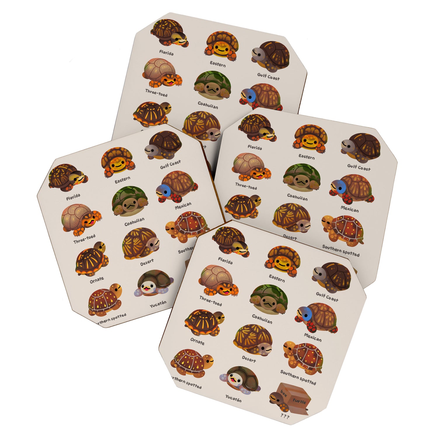 Box turtle Coaster Gallery Image 1