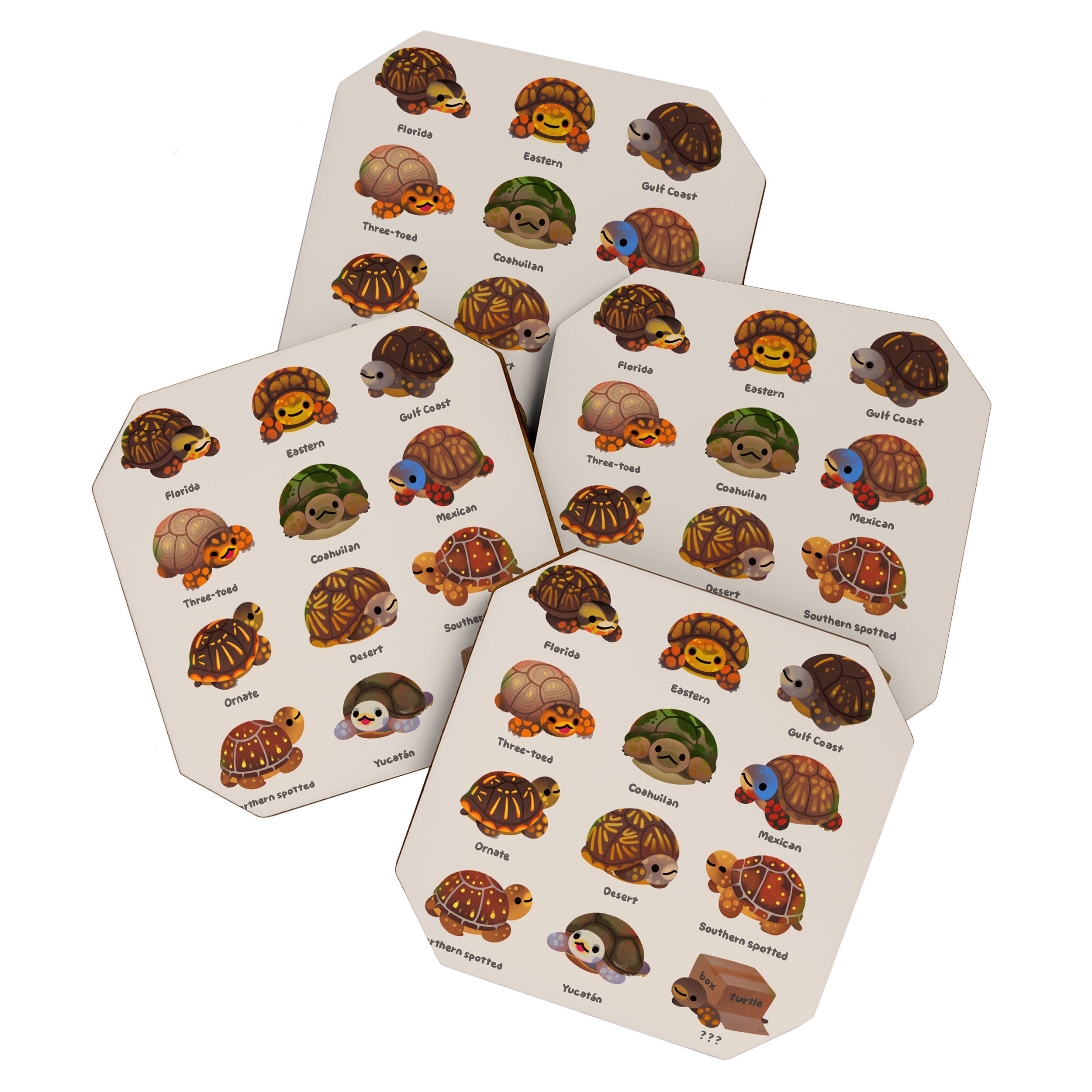 Box turtle Coaster Gallery Image 1
