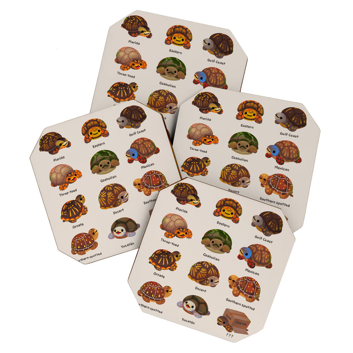 Box turtle Coaster Gallery Image 1