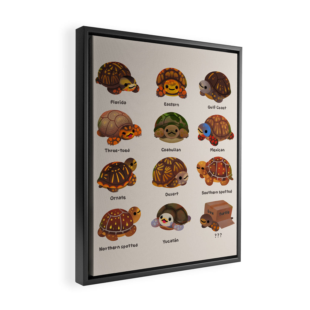 Box turtle Framed Canvas Print Gallery Image 2