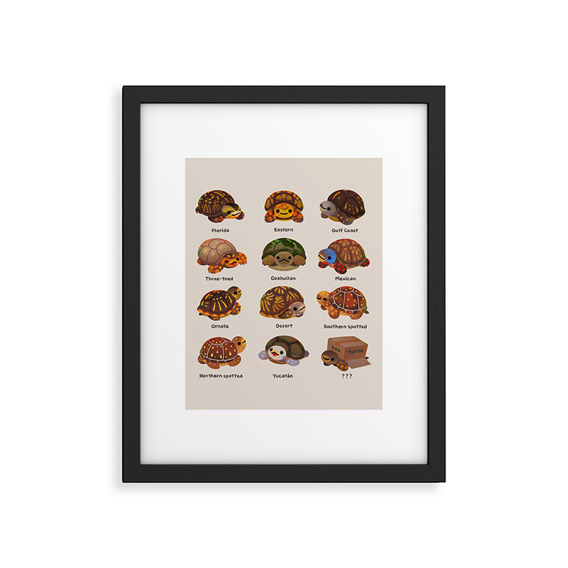 Box turtle Framed Art Print Gallery Image 6