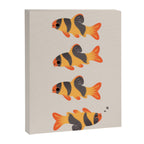 Clown loach Canvas Print Gallery Image 6