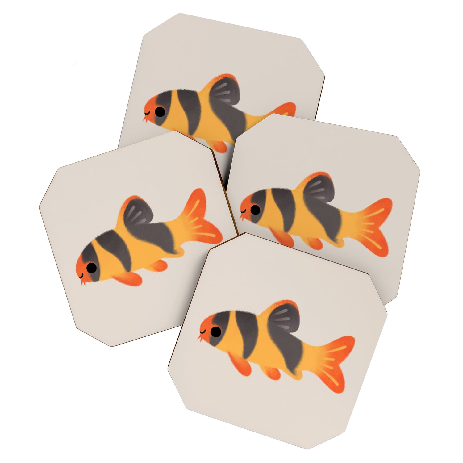 Clown loach Coaster Gallery Image 1