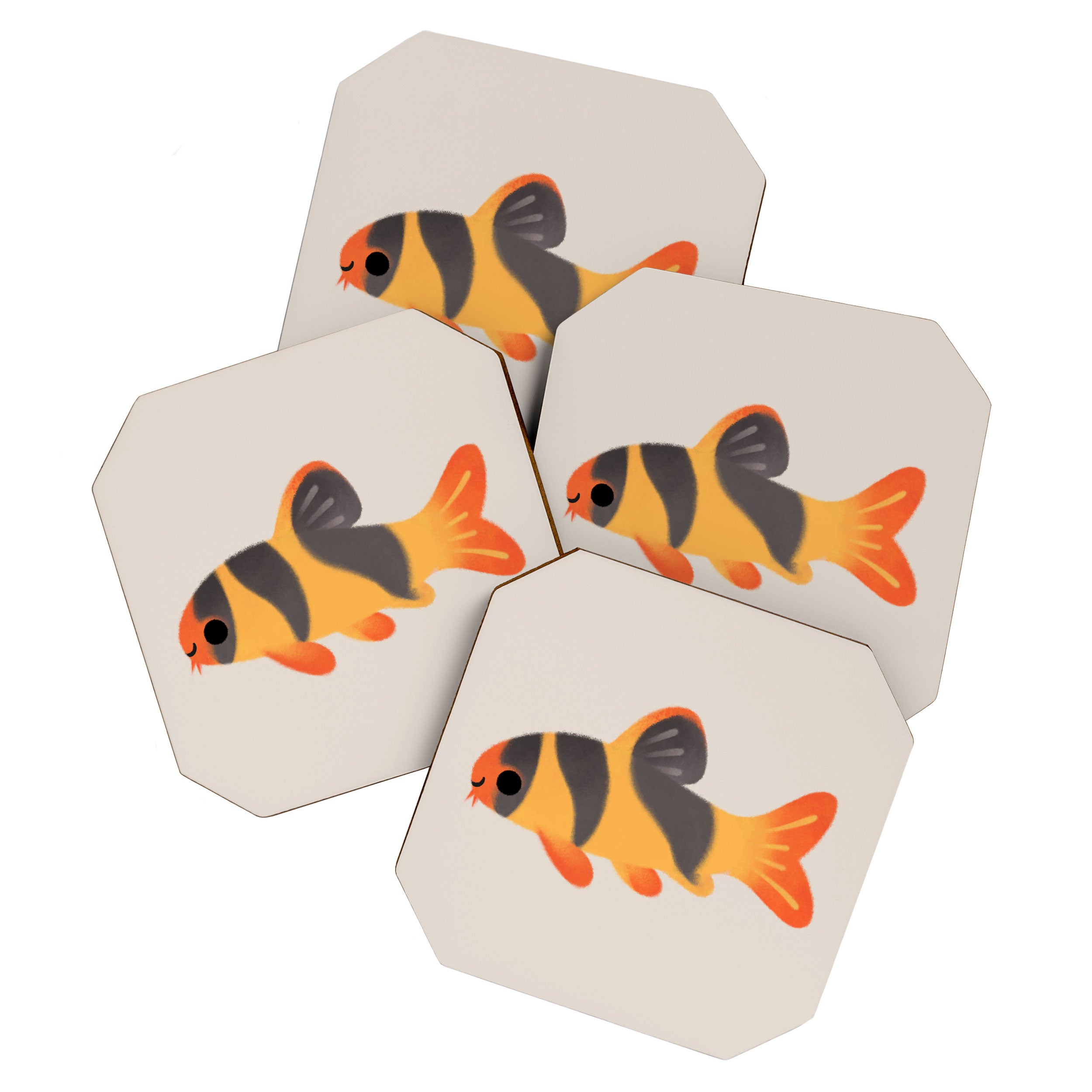 Clown loach Coaster Gallery Image 1