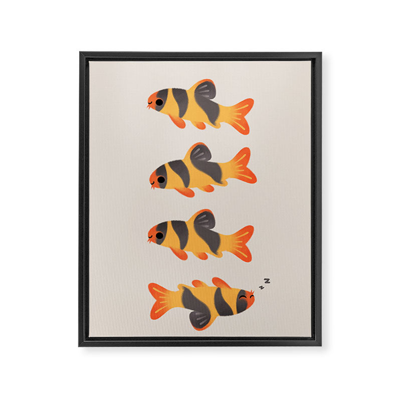 Clown loach Framed Canvas Print Gallery Image 6