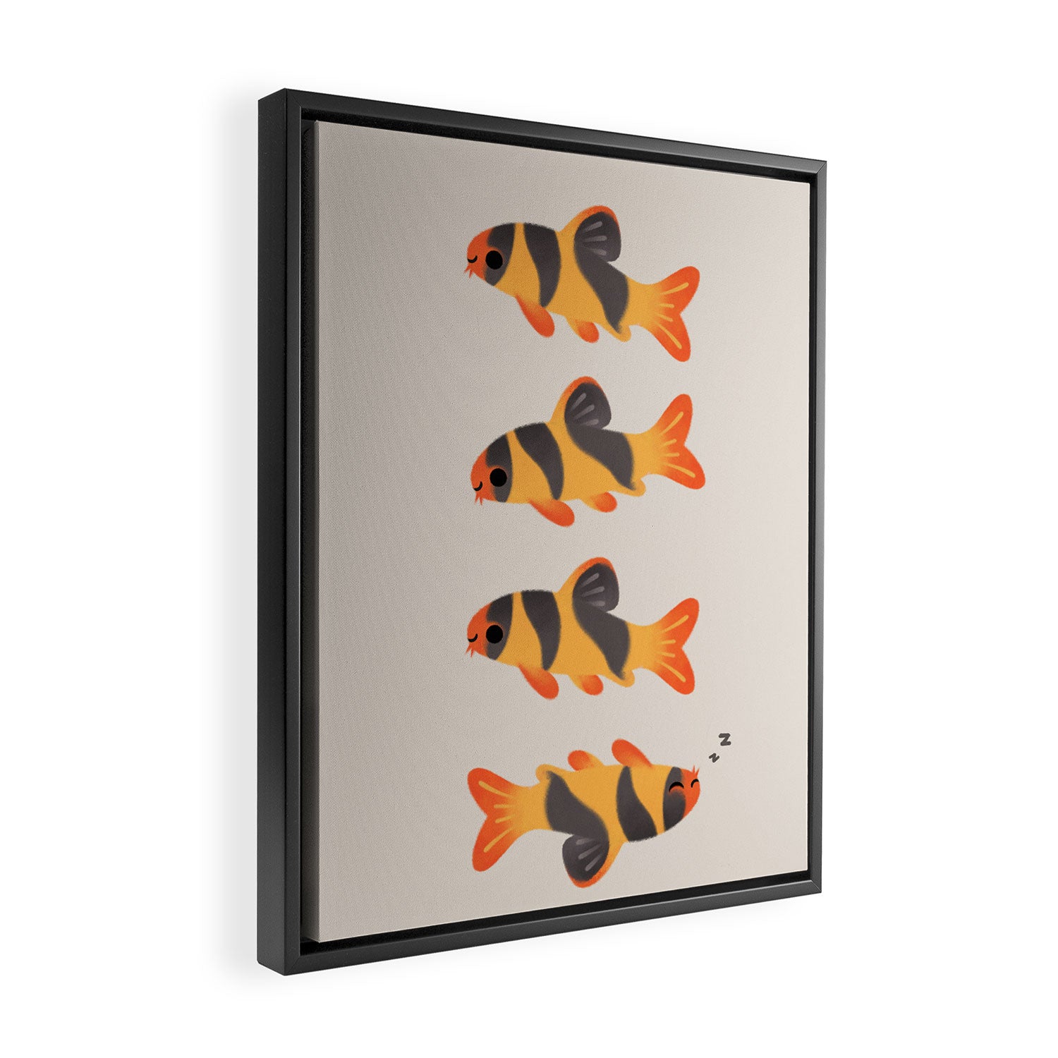 Clown loach Framed Canvas Print Gallery Image 2