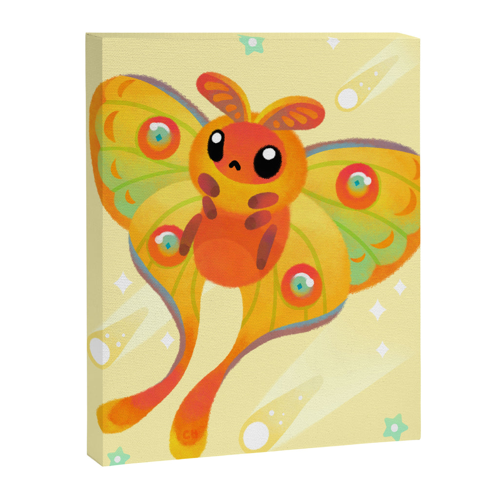 Comet Moth Canvas Print Gallery Image 6