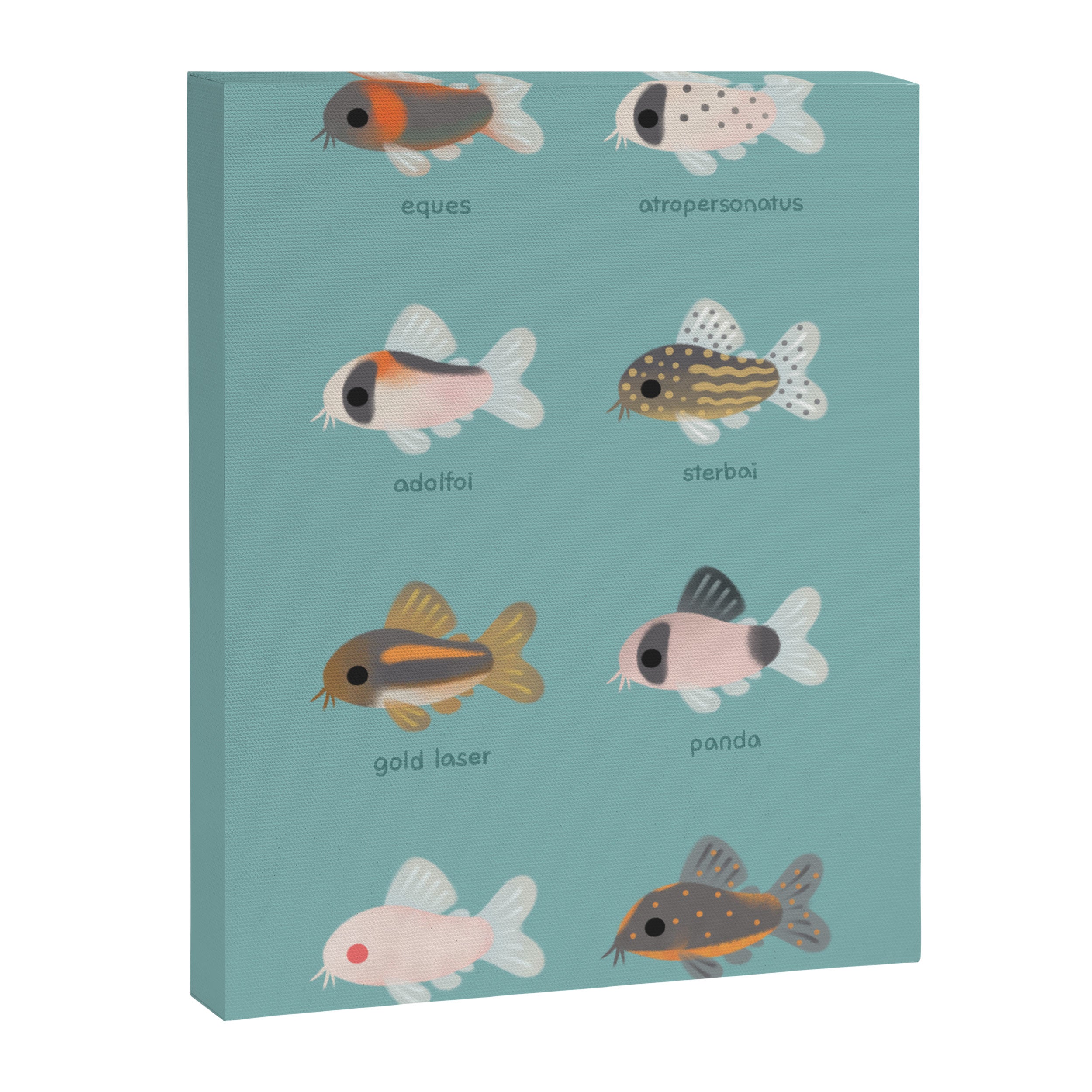 Corydoras! Canvas Print Gallery Image 6