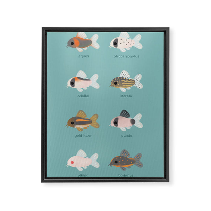 Corydoras! Framed Canvas Print Gallery Image 1