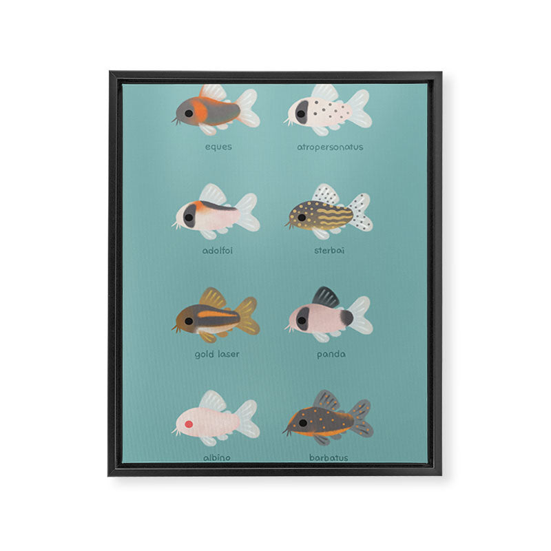 Corydoras! Framed Canvas Print Gallery Image 6