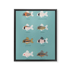 Corydoras! Framed Canvas Print Gallery Image 6
