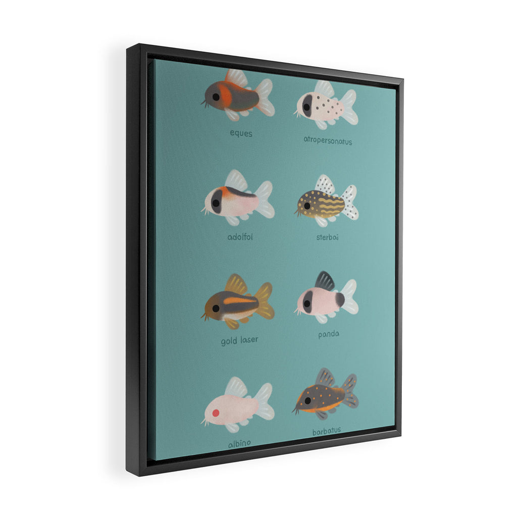 Corydoras! Framed Canvas Print Gallery Image 2